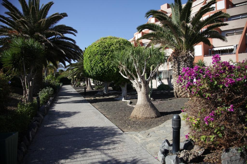 Apartamento El Cano Radazul Buitenkant foto
